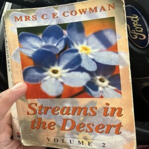 A personal reflection on Stream Vol 2 -March 14 th