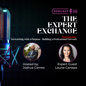 Networking with a Purpose, Building a Professional Network with Laurie Canepa, of StevenDouglas and Joshua Carnes of Lion Business Advisors on the Expert Exchange.