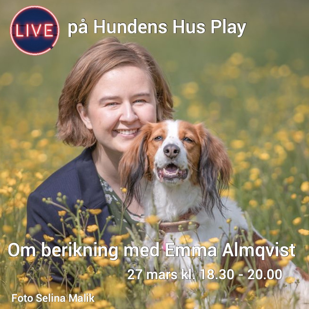 Inför "Berika din hund" med Emma Almqvist 27 mars på Hundens Hus Play