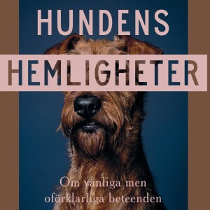 Etolog Per Jensen om sin bok Hundens hemligheter