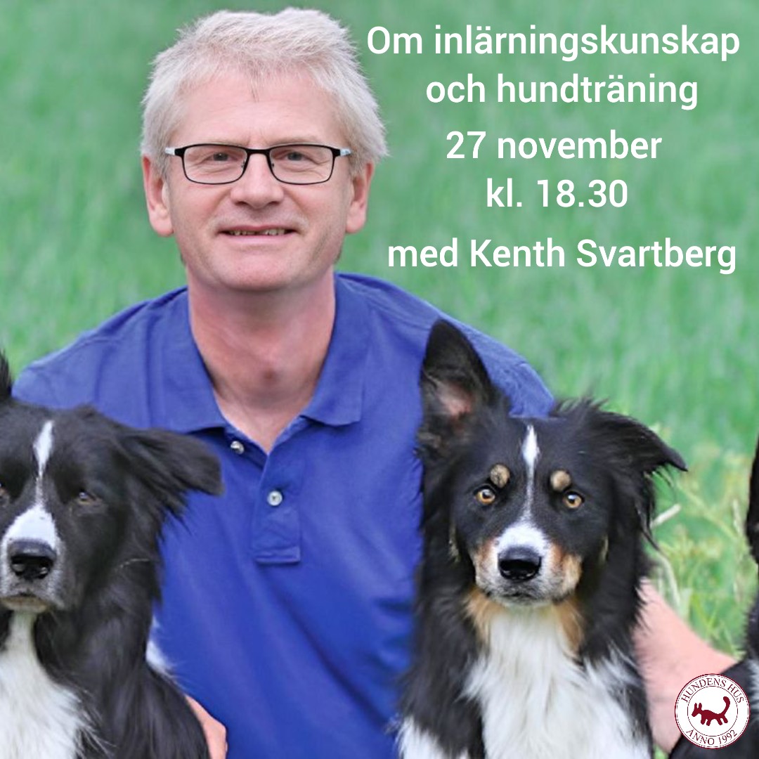 Inför "Om inlärningskunskap och hundträning" med Kenth Svartberg