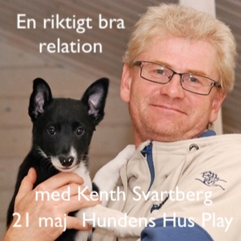 Inför Kenth Svartbergs föreläsning 21 maj på Hundens Hus Play