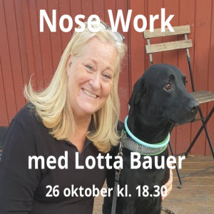 Ett samtal med Lotta Bauer inför föreläsningen Nose Work på Hundens Hus Play