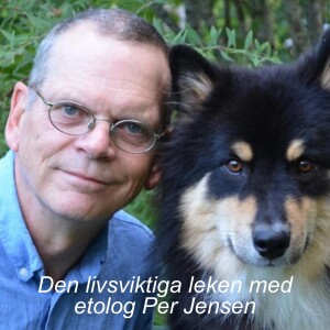 PerJensen - Den livsviktiga leken 13/9 på Hundens Hus Play