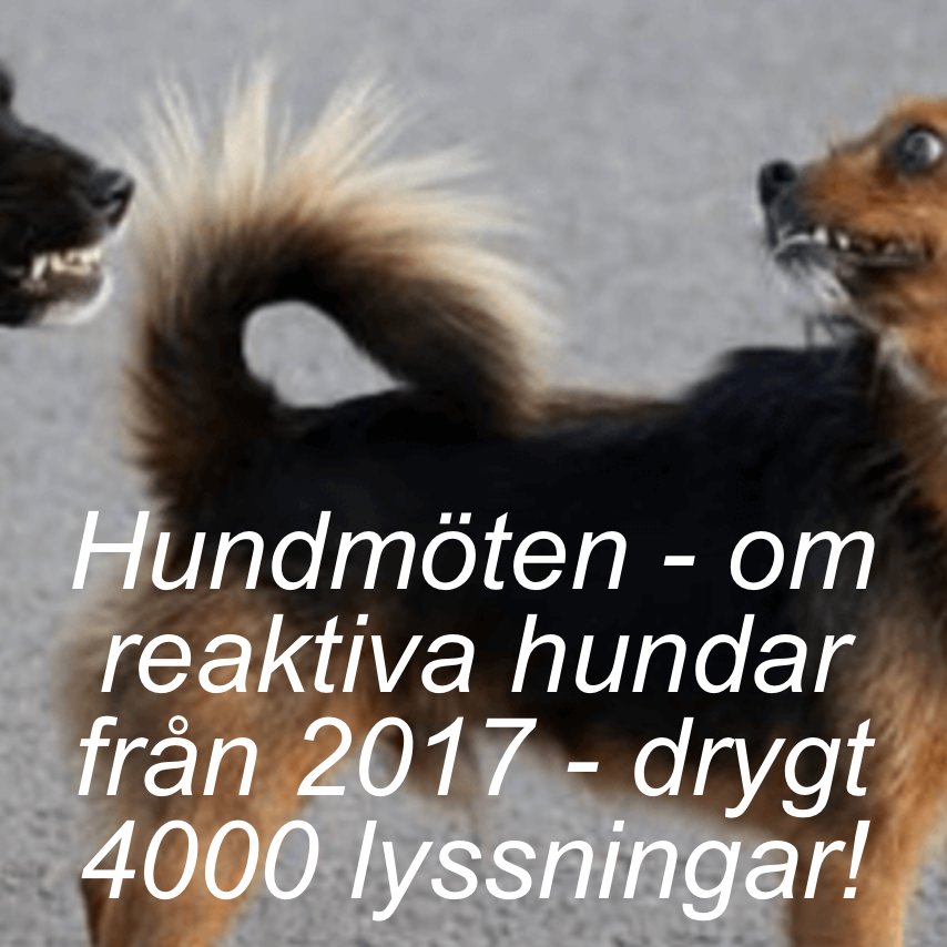 Hundens Hus Podden