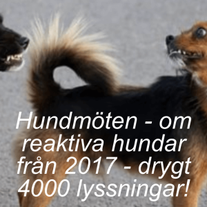 Hundmöten - om reaktiva hundar från september 2017  - drygt 4000 lyssningar!