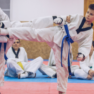 Jed Anthony Ariens | Why All Kids Should Take Kids Martial Arts Classes