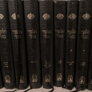 Daf Yomi - Nedarim Daf Samach Daled - Raphael Gestetner
