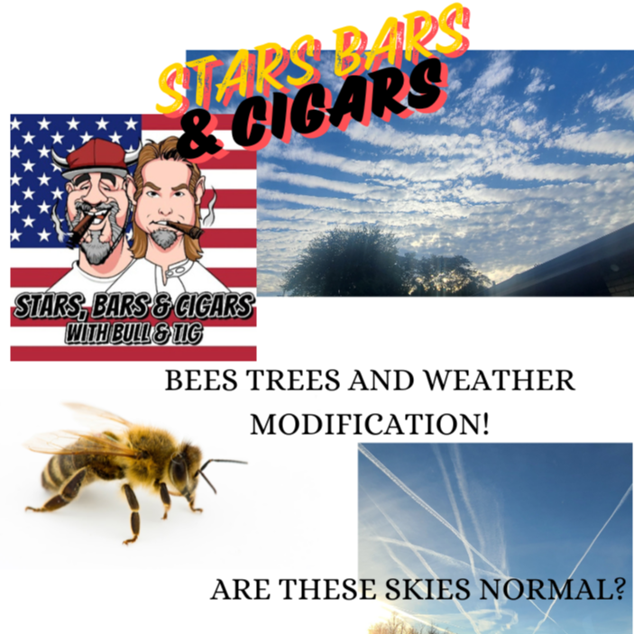 STARS BARS & CIGARS, #49