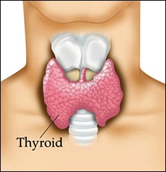 Under-diagnosed Hypothyroidism