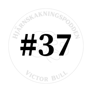Mer diskussion (MER debatt) om hjärnskador inom MMA med Ali Faraj (DEL 2) #37