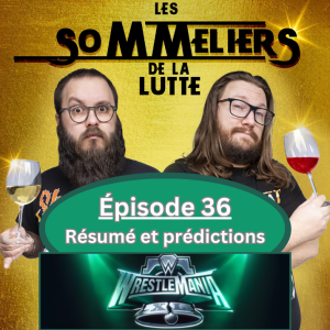 Épisode 36 - Résumé des histoires, questionnaire et prédictions du WrestleMania XL