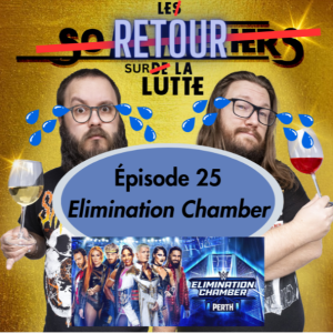 Épisode 25 - Retour et analyse - Elimination Chamber: Perth 2024