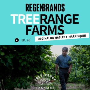 #26 - Reginaldo Haslett-Marroquin @ Tree-Range Farms - A Regenerative Poultry Ecosystem