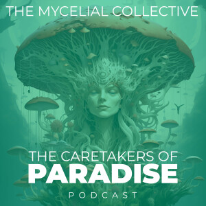 Episode 8 - The Mycelial Collective