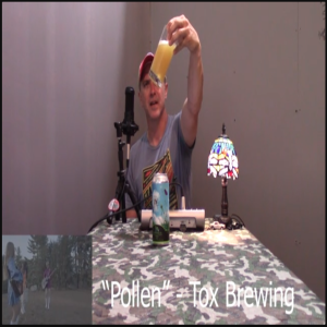 Craft Beer Review With Tunes EP 7 -  Pollen: The Perfect Beer for a Sunny Day