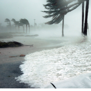 Hurricanes Helene and Milton: Collective Healing and Long-Term Impacts