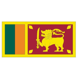 Free and Fair Elections Special: Sri Lanka's Pivotal Moment