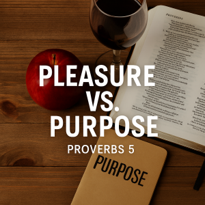 Proverbs Series - Episode 5 - Pleasure vs. Puspose