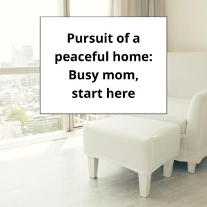 Pursuit of a peaceful home: Busy mom, start here