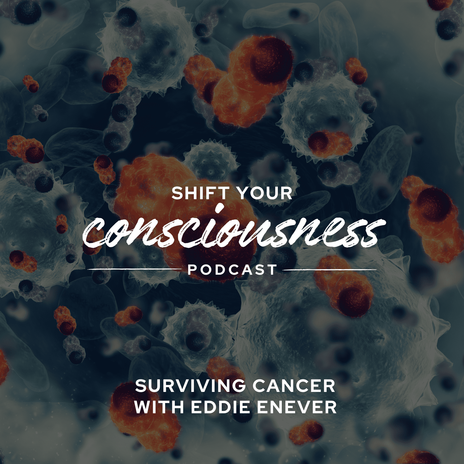 Shift Your Consciousness