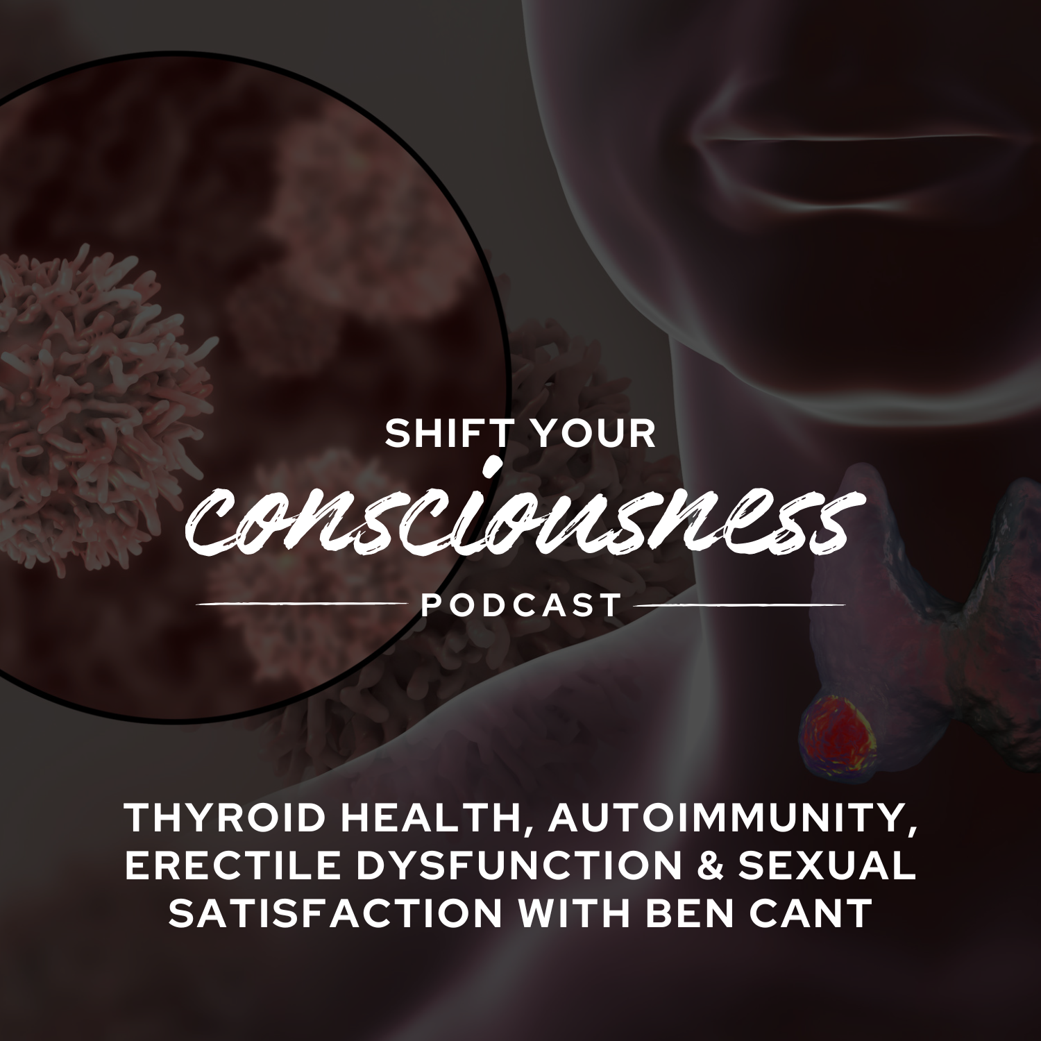 Shift Your Consciousness