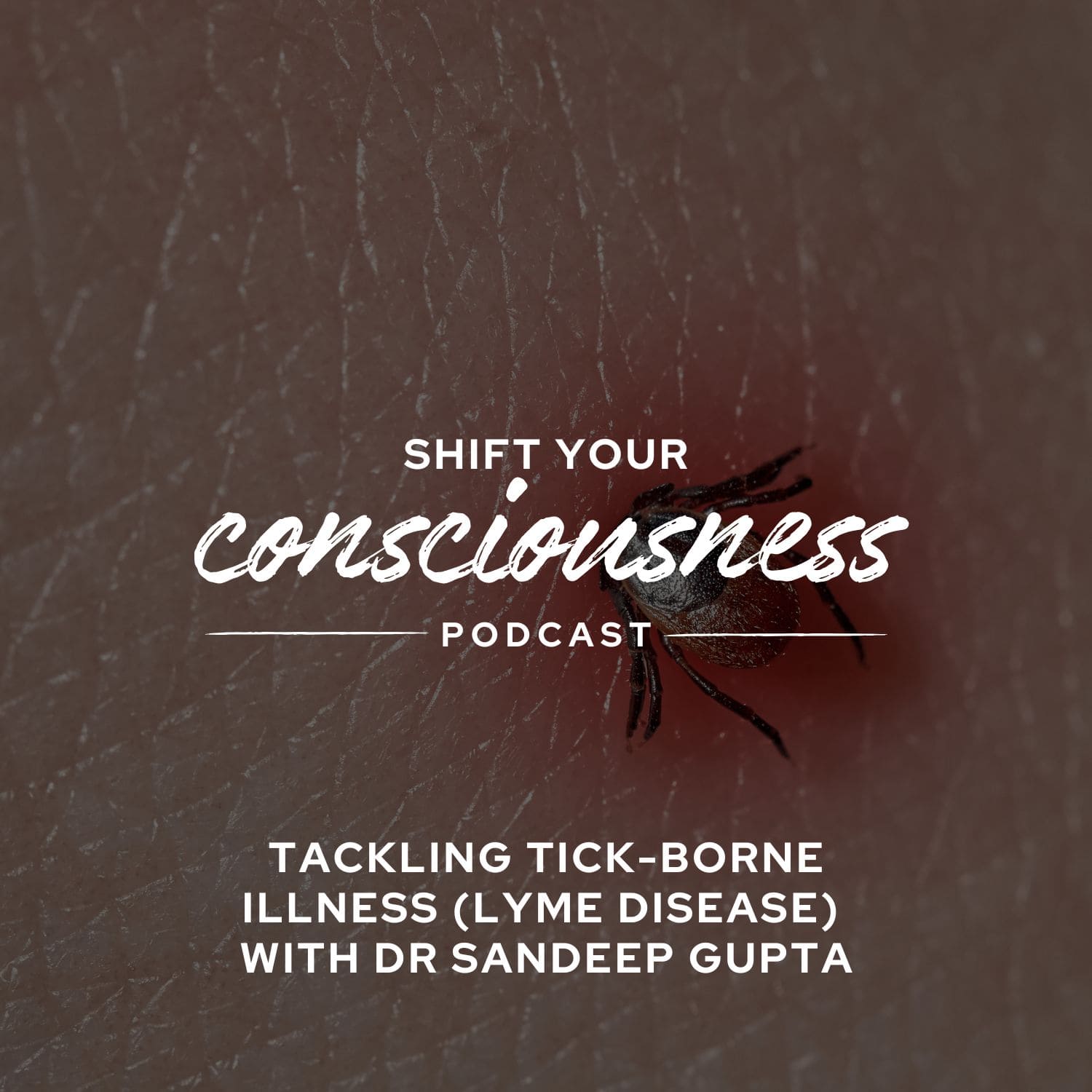 Shift Your Consciousness
