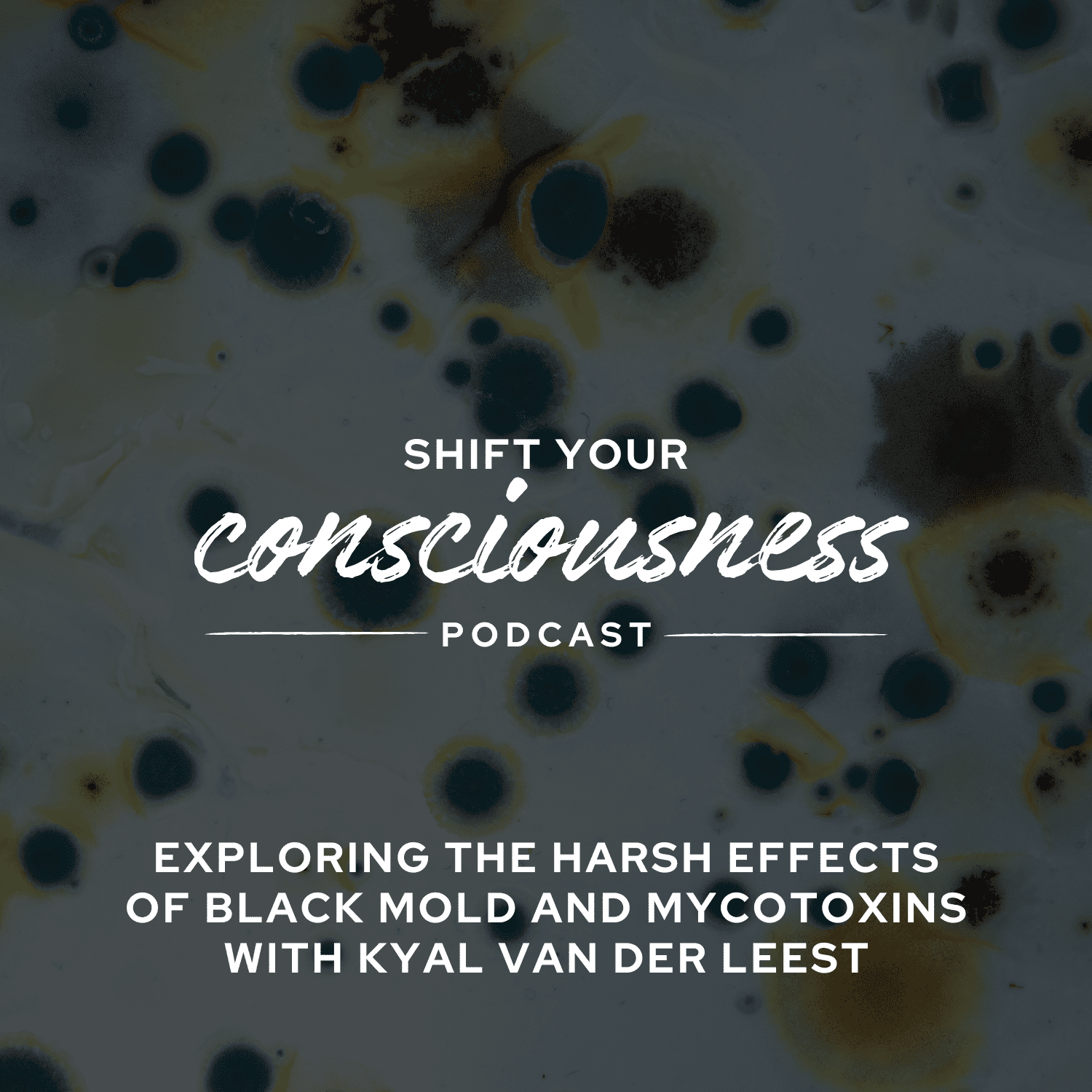 Shift Your Consciousness