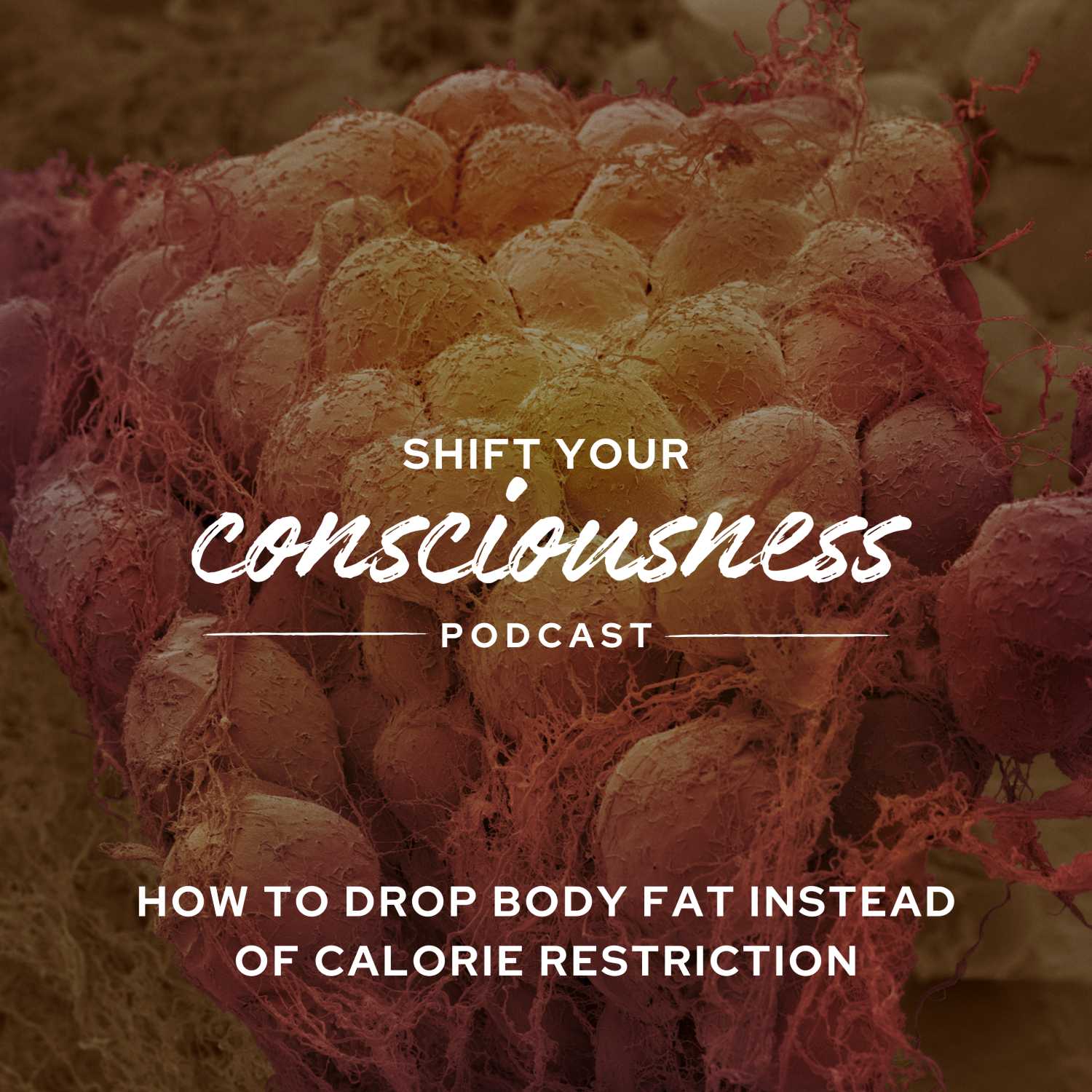 Shift Your Consciousness