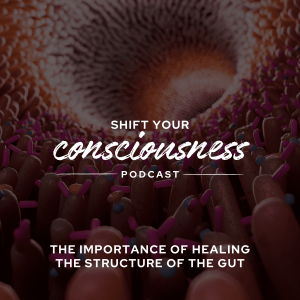 Episode 14: The Importance of Healing the Structure of the Gut with Dave O'Brien