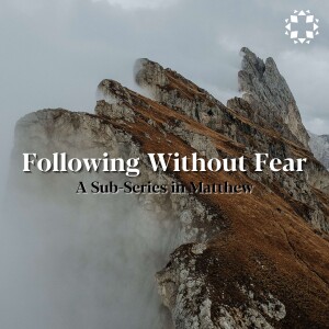 Following Without Fear - A Follower's Fearlessness