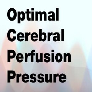 Optimal Cerebral Perfusion Pressure