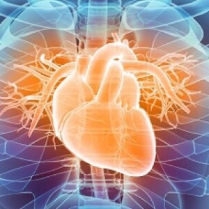 Pathophysiology of Acute Heart Failure in ICU