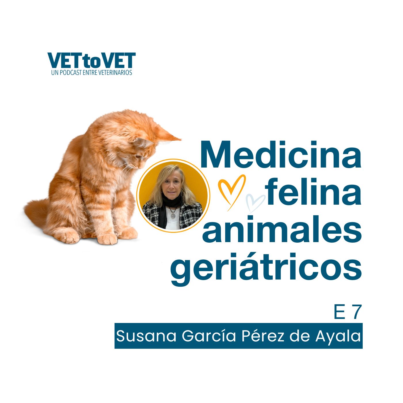 Vet to Vet