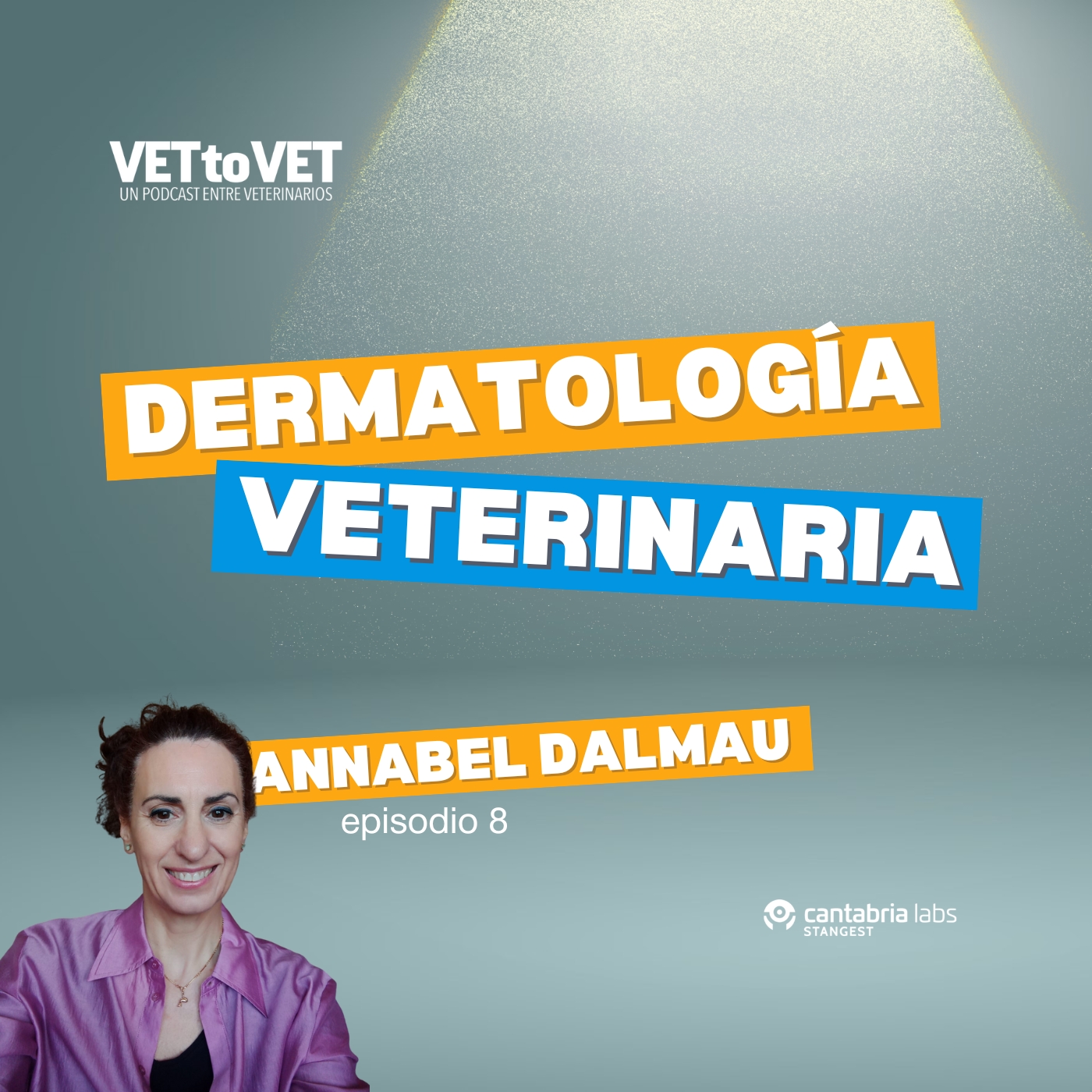 Vet to Vet