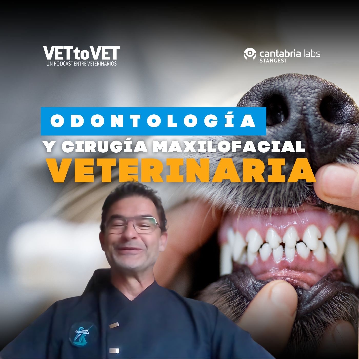 Vet to Vet