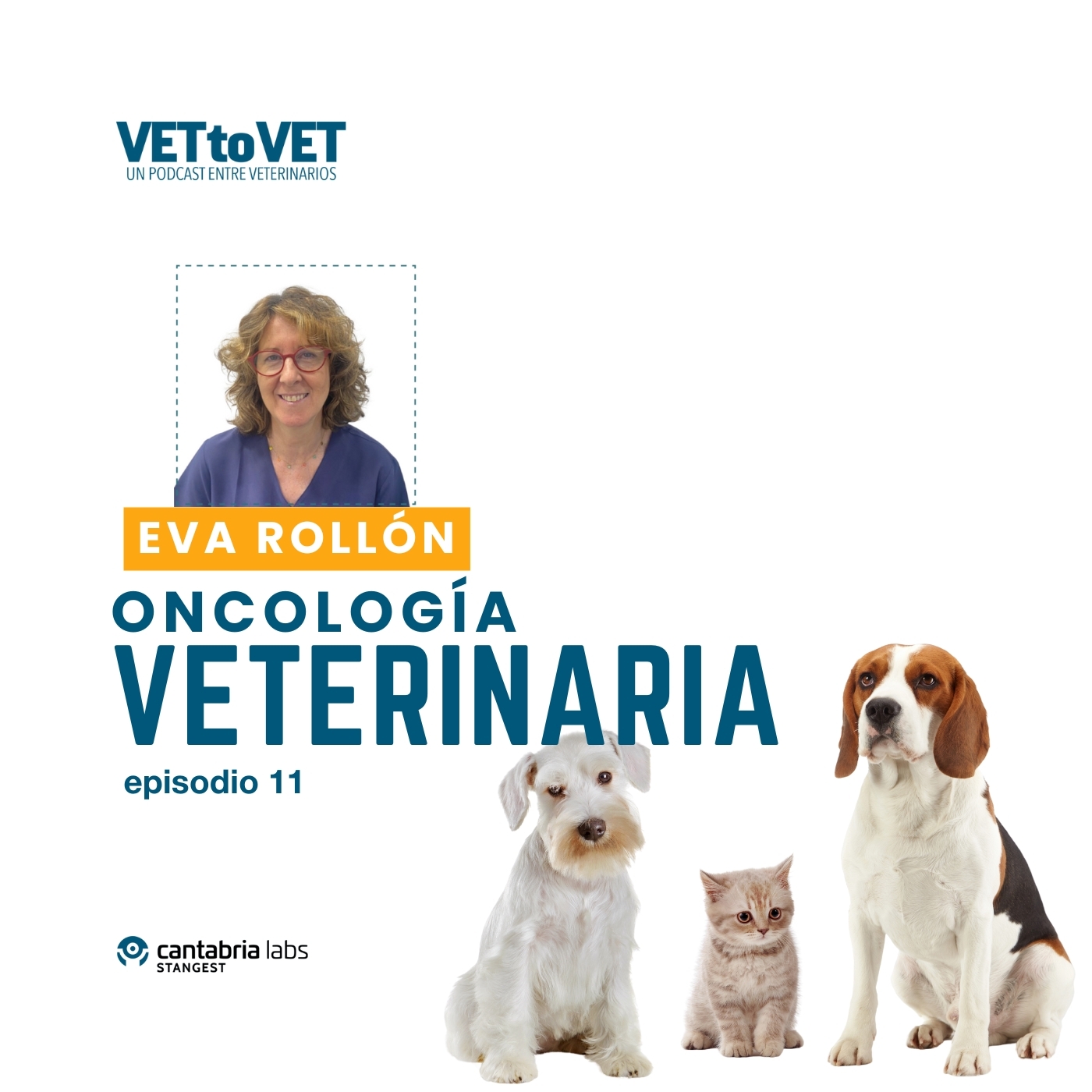 Vet to Vet