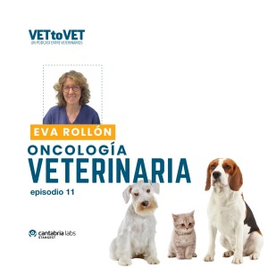 Oncología veterinaria, Eva Rollón, E 11 Podcast Vet to Vet