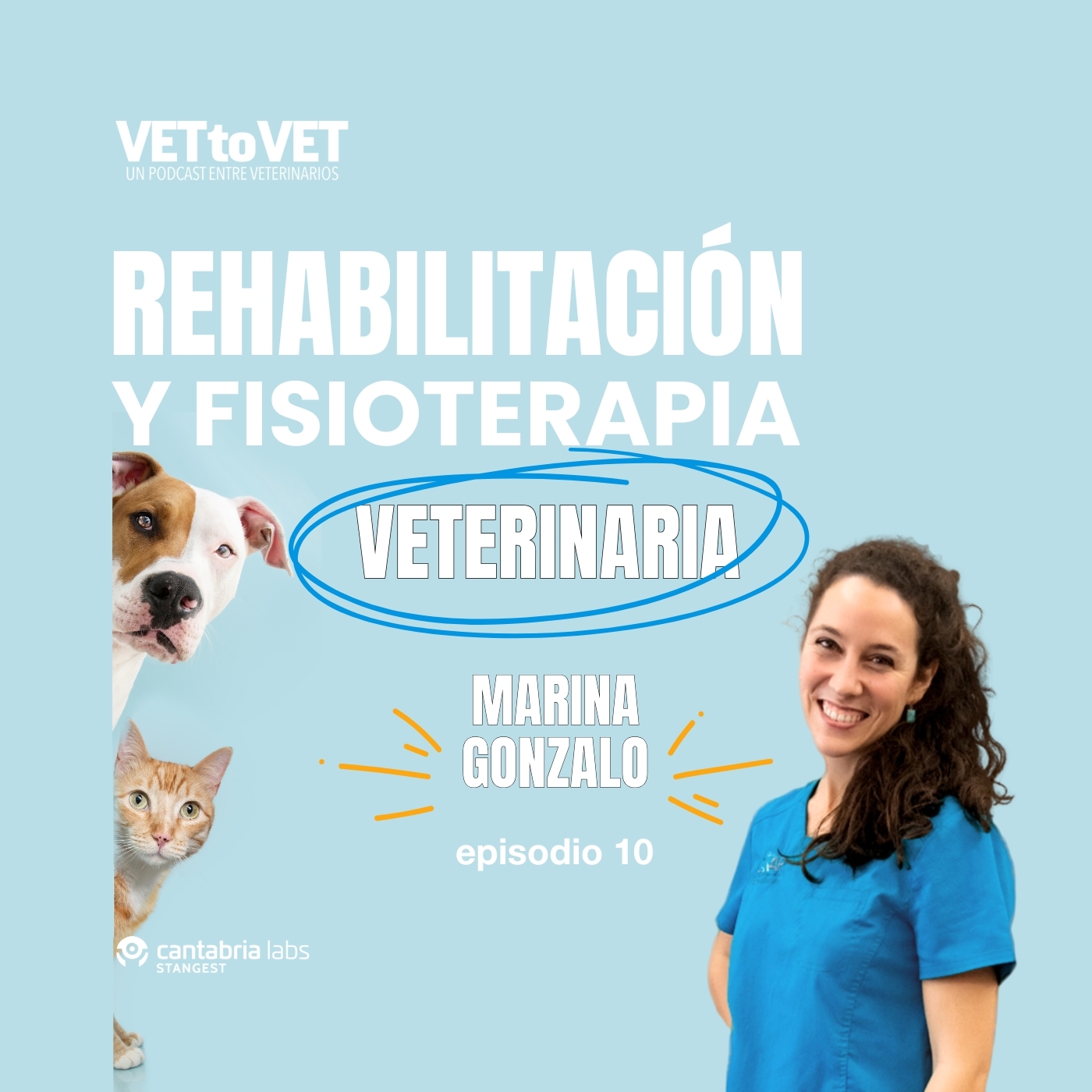 Vet to Vet