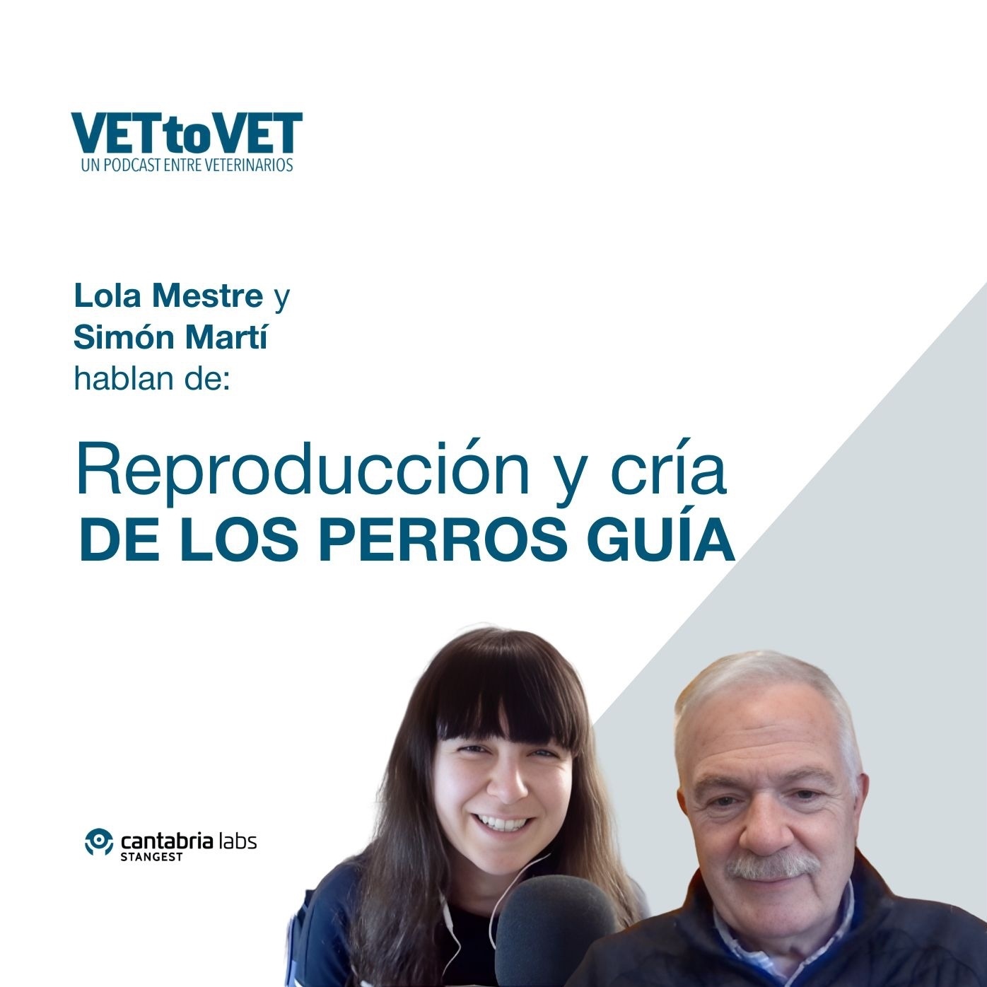 Vet to Vet