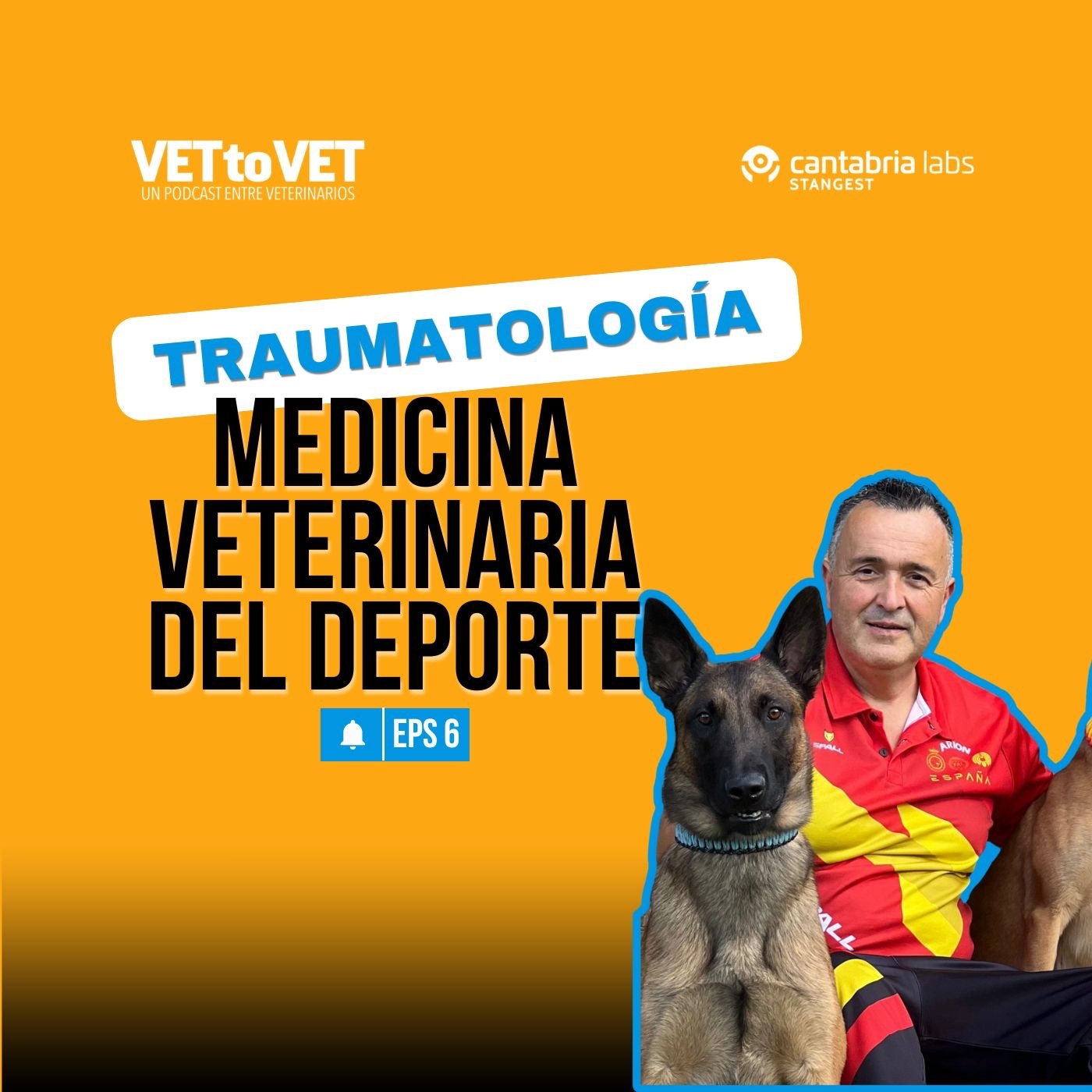 Vet to Vet