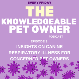 Insights on Canine Respiratory Illness for Concerned Pet Owners