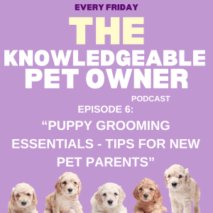 Puppy Grooming Essentials - Tips for New Pet Parents