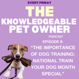 The Importance of Dog Training: National Train Your Dog Month Special