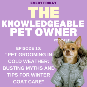 Pet Grooming in Cold Weather: Busting Myths and Tips for Winter Coat Care