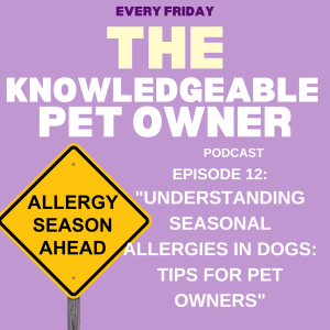 Understanding Seasonal Allergies in Dogs: Tips for Pet Owners