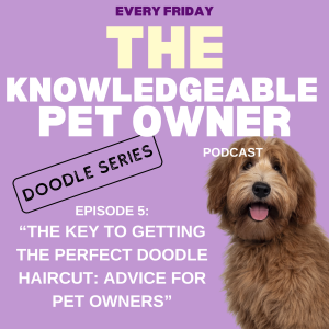 The Key to Getting the Perfect Doodle Haircut: Advice for Pet Owners