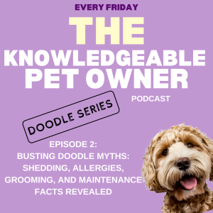 Busting Doodle Myths: Shedding, Allergies, Grooming, and Maintenance Facts Revealed