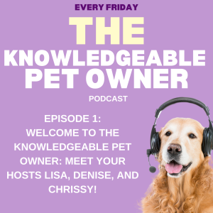 Welcome to The Knowledgeable Pet Owner: Meet Your Hosts Lisa, Denise, and Chrissy!