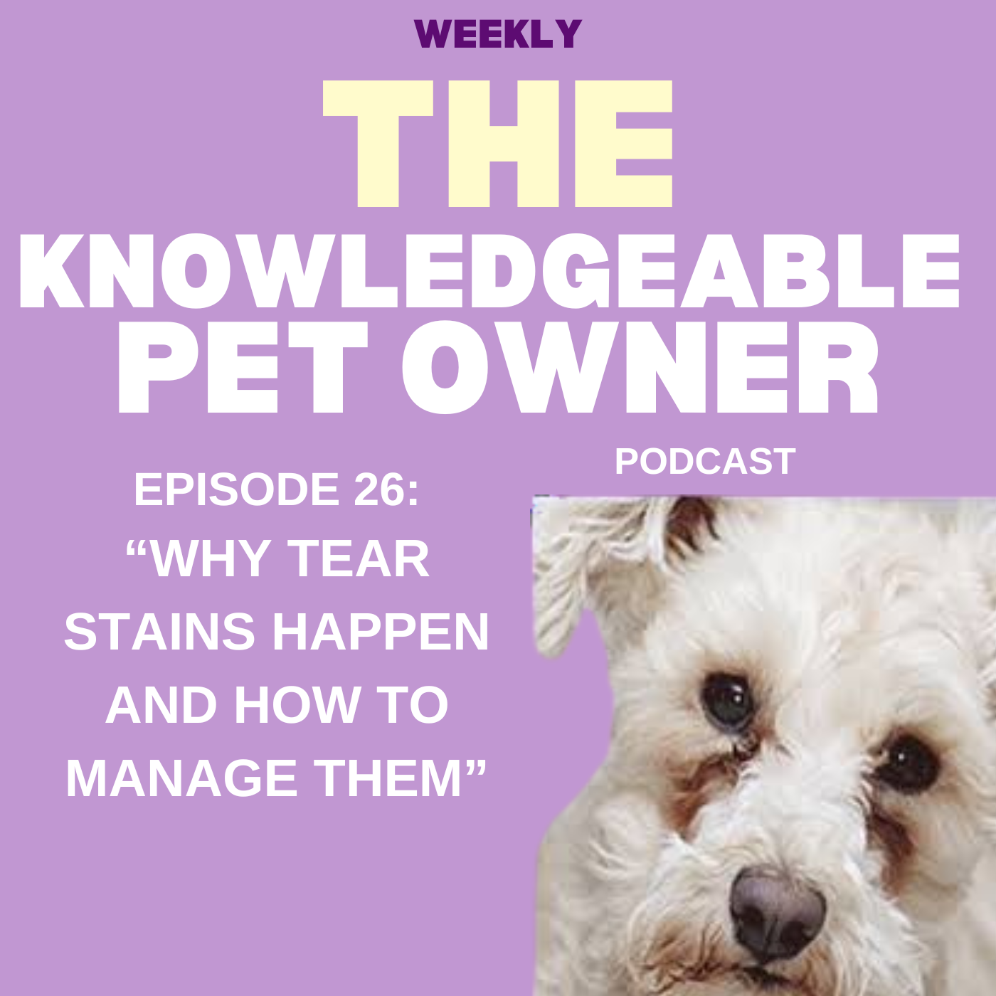 The Knowledgeable Pet Owner